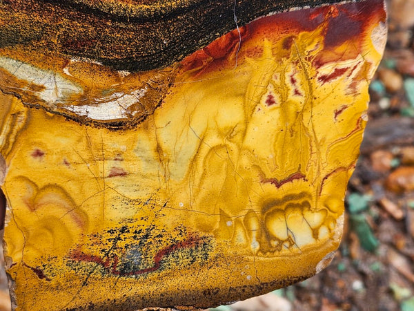 Polished Tiger Eye slab TE478