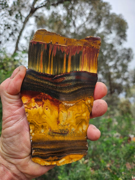 Polished Tiger Eye slab TE479