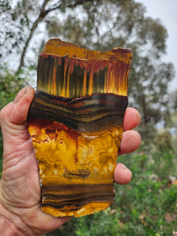Polished Tiger Eye slab TE479