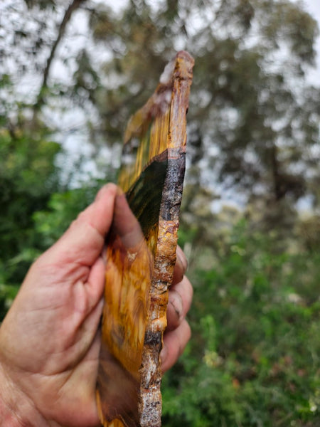 Polished Tiger Eye slab TE479