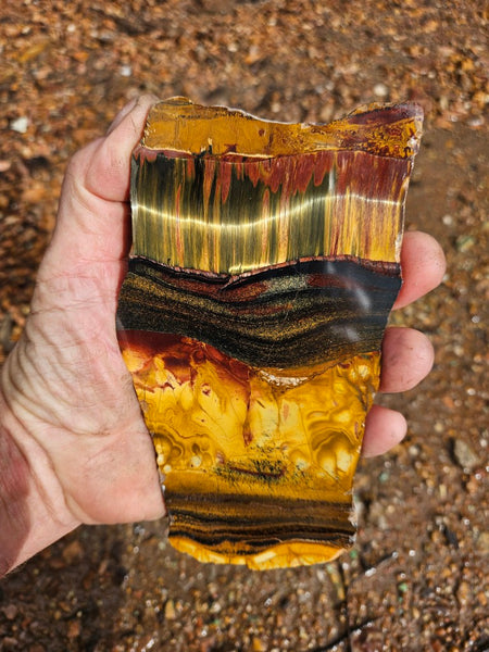 Polished Tiger Eye slab TE479