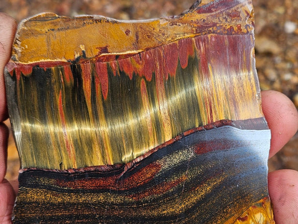 Polished Tiger Eye slab TE479
