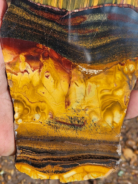 Polished Tiger Eye slab TE479