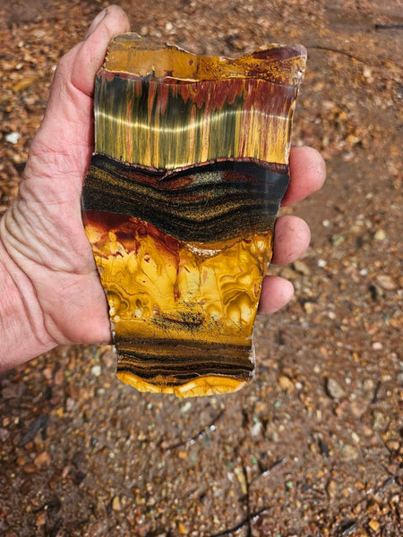 Polished Tiger Eye slab TE479