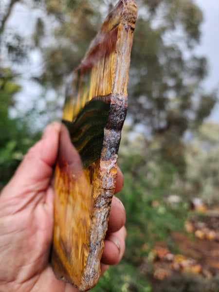 Polished Tiger Eye slab TE480