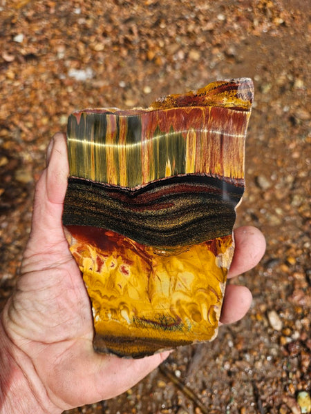 Polished Tiger Eye slab TE480