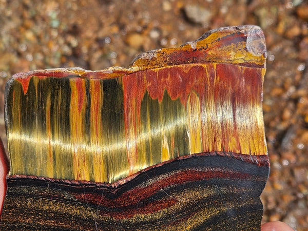 Polished Tiger Eye slab TE480