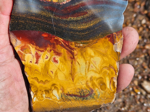 Polished Tiger Eye slab TE480
