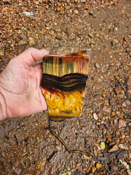 Polished Tiger Eye slab TE480