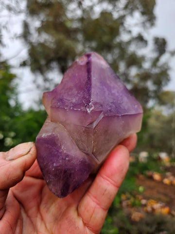 Wyloo Amethyst crystal . AM144