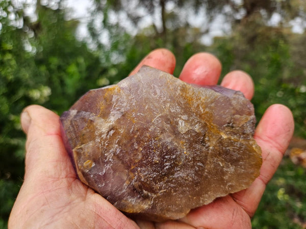 Wyloo Amethyst crystal . AM144