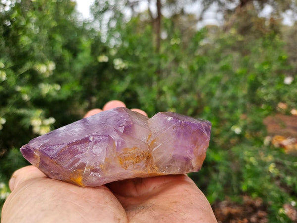 Wyloo Amethyst crystal . AM144