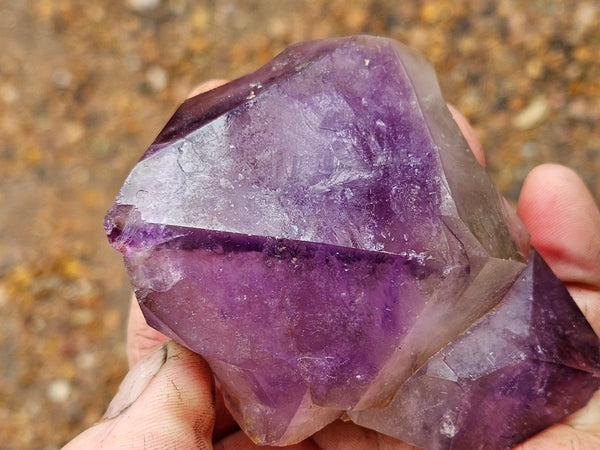 Wyloo Amethyst crystal . AM144
