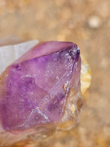 Wyloo Amethyst crystal . AM144