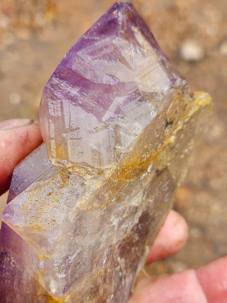 Wyloo Amethyst crystal . AM144