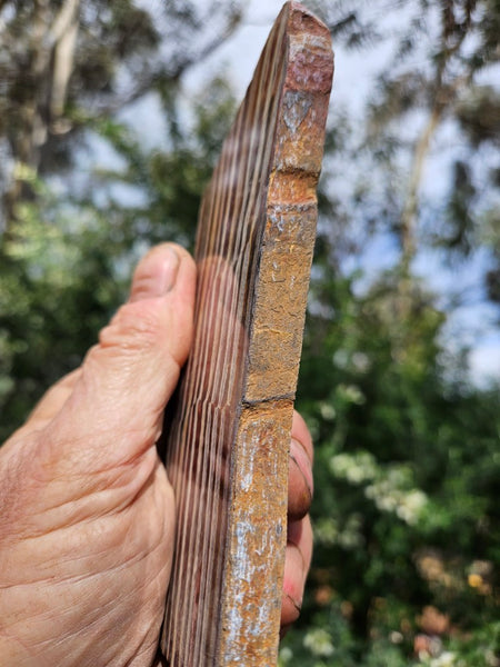 Polished Snakeskin Jasper slab  SS207