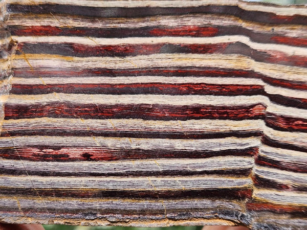 Polished Snakeskin Jasper slab  SS207