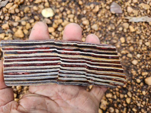 Polished Snakeskin Jasper slab  SS207