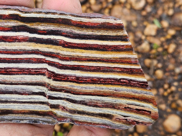 Polished Snakeskin Jasper slab  SS207