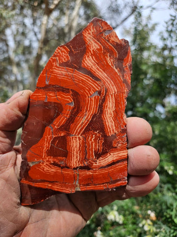 Polished  Snakeskin Jasper slab SS208