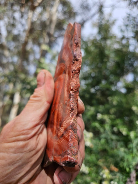 Polished  Snakeskin Jasper slab SS208