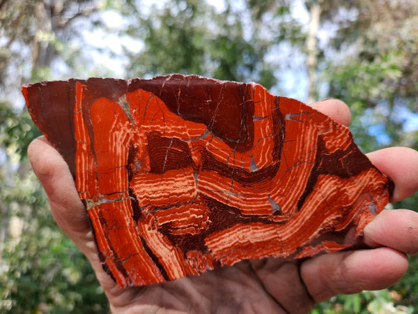 Polished  Snakeskin Jasper slab SS208