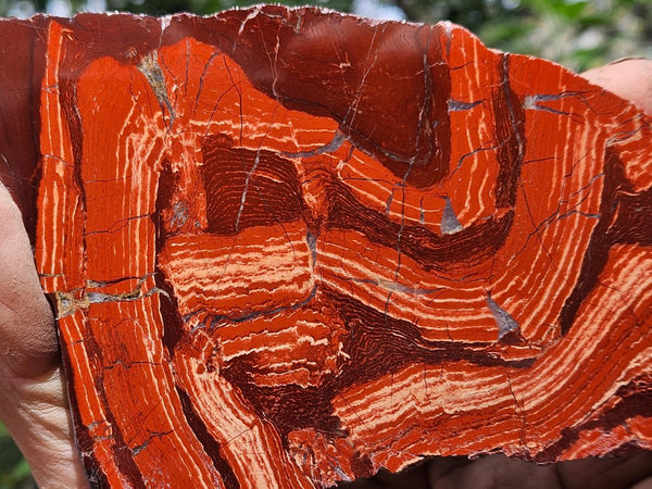 Polished  Snakeskin Jasper slab SS208