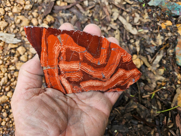 Polished  Snakeskin Jasper slab SS208