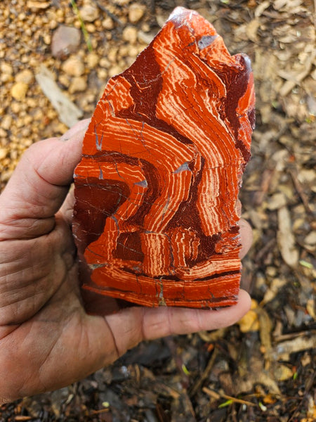 Polished  Snakeskin Jasper slab SS208