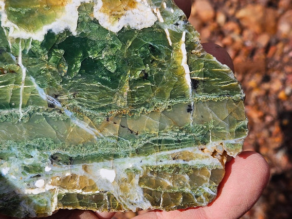 Polished Green Opal slab GRN112