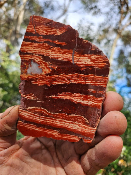 Polished  Snakeskin Jasper slab SS209