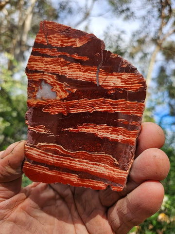 Polished  Snakeskin Jasper slab SS209