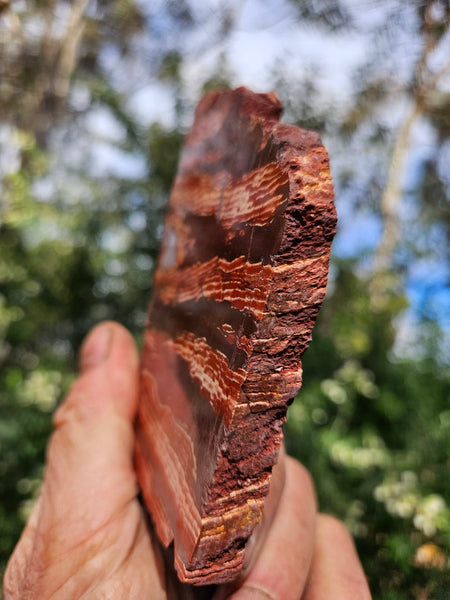 Polished  Snakeskin Jasper slab SS209