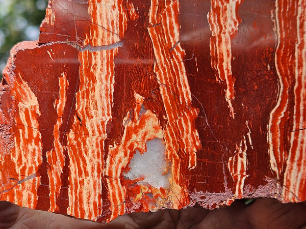 Polished  Snakeskin Jasper slab SS209