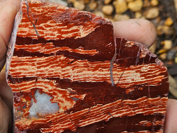Polished  Snakeskin Jasper slab SS209