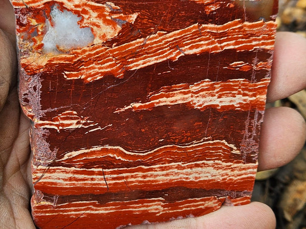 Polished  Snakeskin Jasper slab SS209