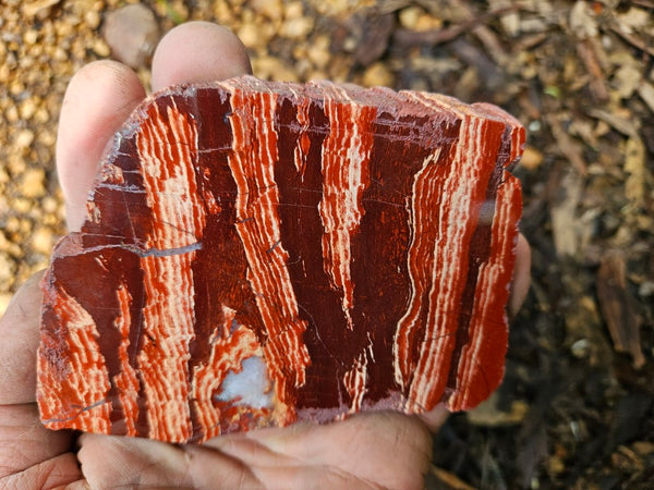 Polished  Snakeskin Jasper slab SS209
