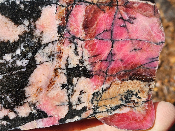 Polished Rhodonite slab RH292