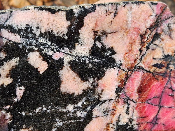 Polished Rhodonite slab RH292