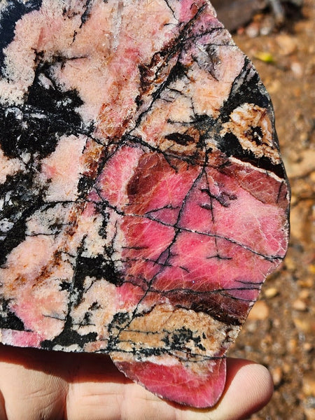 Polished Rhodonite slab RH292