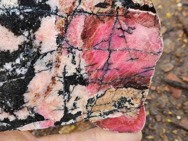 Polished Rhodonite slab RH292