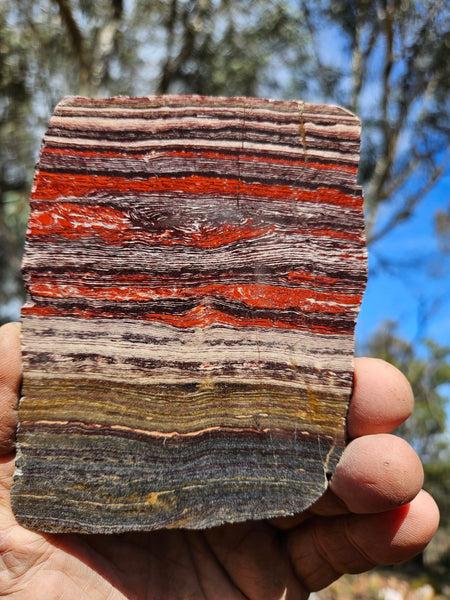 Polished  Snakeskin Jasper slab SS211