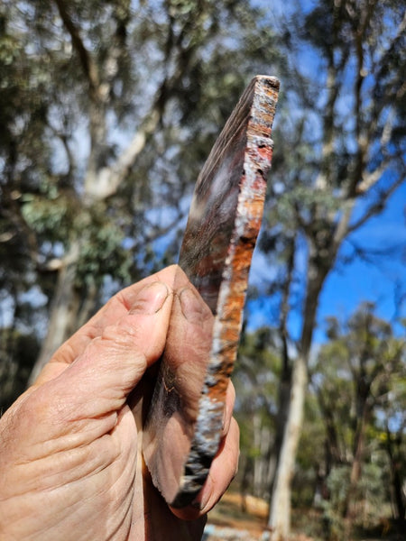 Polished  Snakeskin Jasper slab SS211
