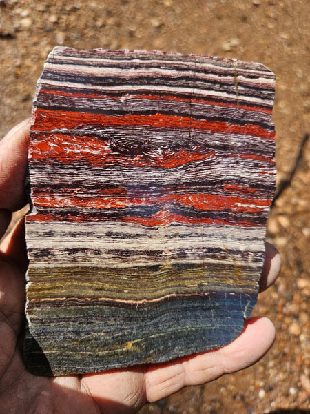 Polished  Snakeskin Jasper slab SS211
