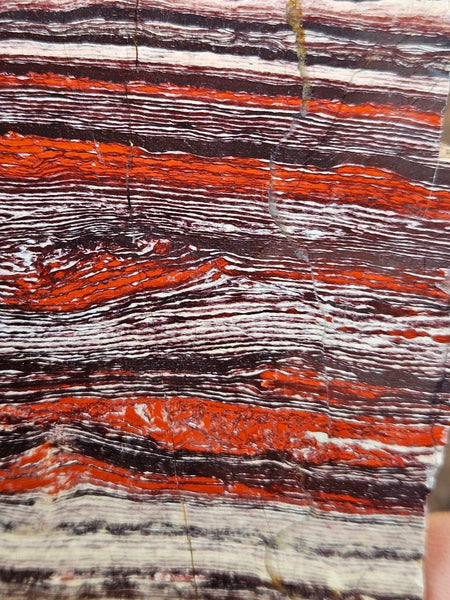 Polished  Snakeskin Jasper slab SS211