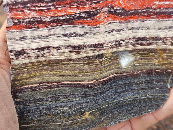 Polished  Snakeskin Jasper slab SS211