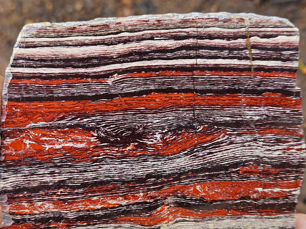 Polished  Snakeskin Jasper slab SS211