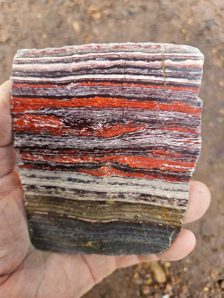 Polished  Snakeskin Jasper slab SS211