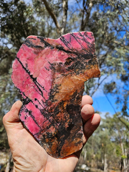 Polished Rhodonite slab RH293