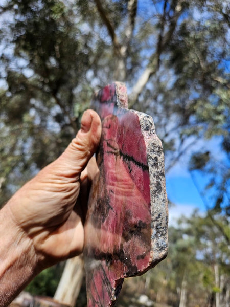 Polished Rhodonite slab RH293